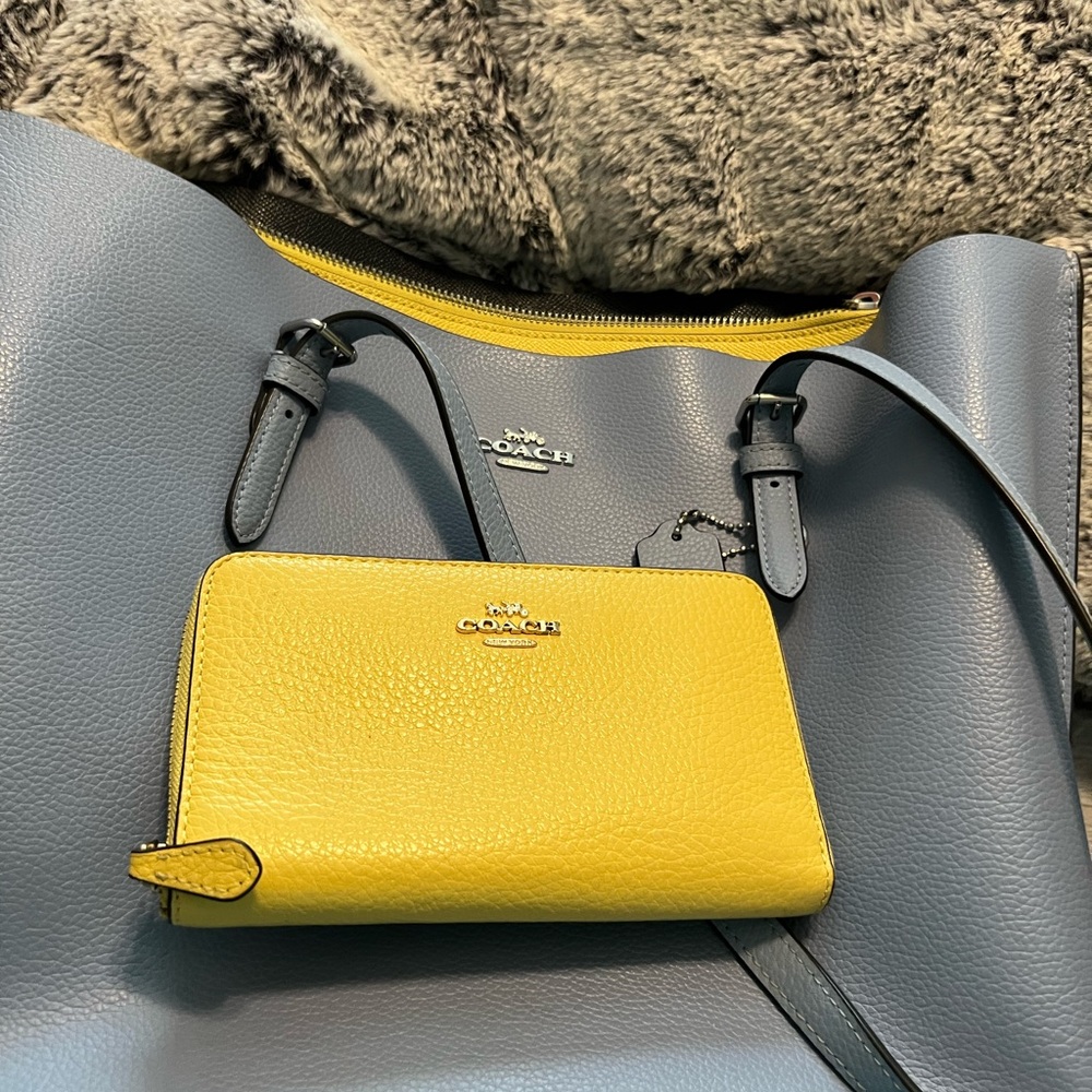 Coach Blue  and Yellow Women's Bag and wallet